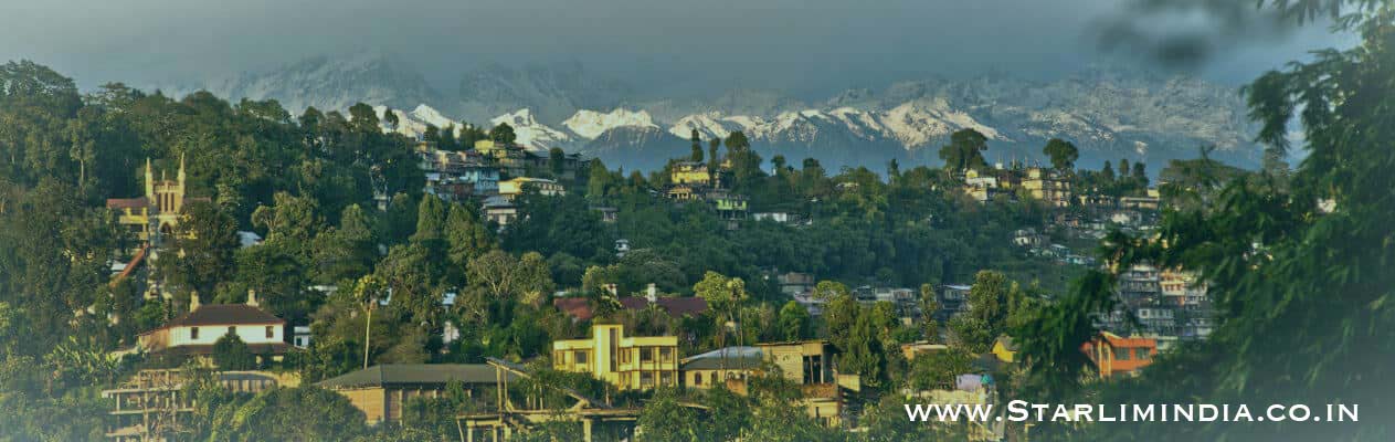 Yoga Teacher Training in Himalaya India - RYS 200, 300, 500